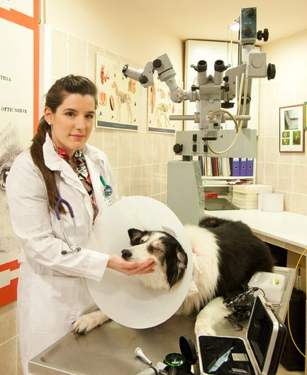 κτηνιατρική βοήθεια Κατερίνα Παπαϊωάννου κτηνίατρος - οφθαλμίατρος