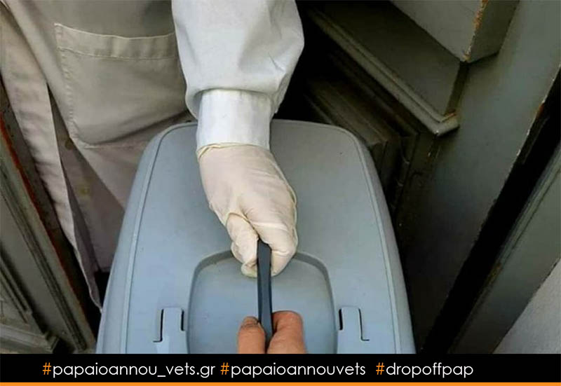dropoffpap dropoffpap